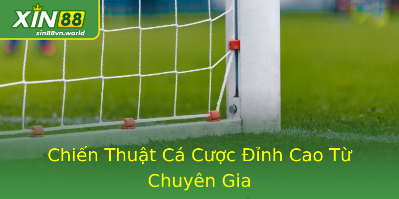 Chiến Thuật Cá Cược Đỉnh Cao Từ Chuyên Gia Chiến Thuật Cá Cược Đỉnh Cao Từ Chuyên Gia