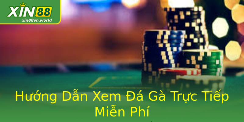 Hướng Dẫn Xem Đá Gà Trực Tiếp Miễn Phí Hướng Dẫn Xem Đá Gà Trực Tiếp Miễn Phí
