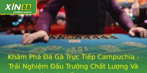 Đá Gà Trực Tiếp Campuchia - Trải Nghiệm Đấu Trường Chất Lượng 10 Kham Pha A Ga Truc Tiep Campuchia Trai Nghiem Au Truong Chat Luong Va Ay Hap Dan Voi Xin88
