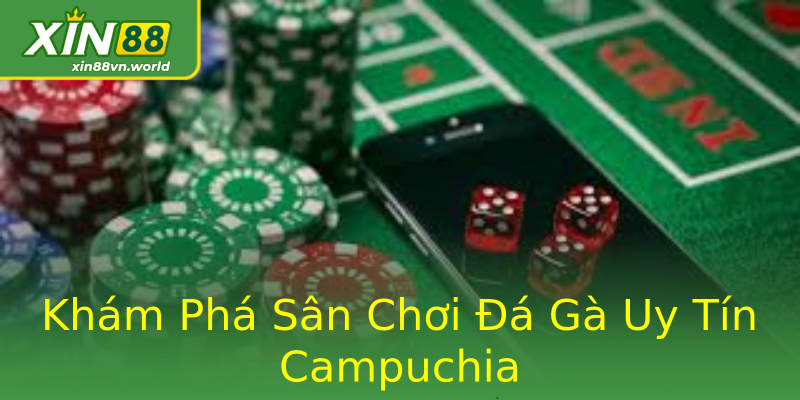 Khám Phá Sân Chơi Đá Gà Uy Tín Campuchia Khám Phá Sân Chơi Đá Gà Uy Tín Campuchia