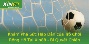 Rồng Hổ Tại Xin88 - Bí Quyết Chiến Thắng Đỉnh Cao 8 Kham Pha Suc Hap Dan Cua Tro Choi Rong Ho Tai Xin88 Bi Quyet Chien Thang Inh Cao
