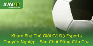 Cá Độ Esports - Sân Chơi Đẳng Cấp Của Cá Cược LOL 5 Kham Pha The Gioi Ca O Esports Chuyen Nghiep San Choi Ang Cap Cua Ca Cuoc Lol Va Xin88