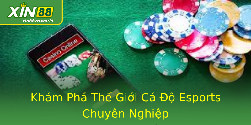 Khám Phá Thế Giới Cá Độ Esports Chuyên Nghiệp Khám Phá Thế Giới Cá Độ Esports Chuyên Nghiệp