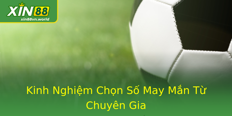 Kinh Nghiệm Chọn Số May Mắn Từ Chuyên Gia Kinh Nghiệm Chọn Số May Mắn Từ Chuyên Gia
