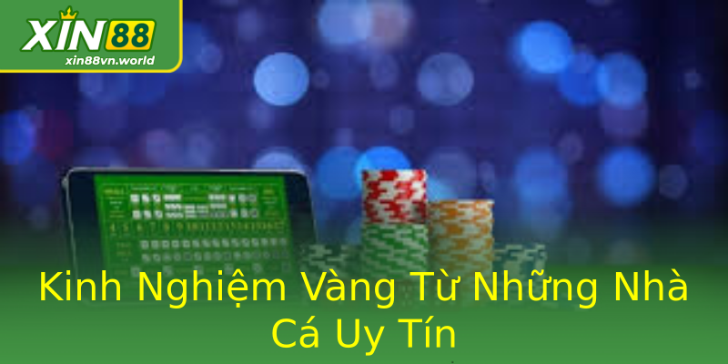 Kinh Nghiệm Vàng Từ Những Nhà Cá Uy Tín Kinh Nghiệm Vàng Từ Những Nhà Cá Uy Tín