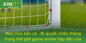 Mẹo chơi bắn cá - Bí quyết chiến thắng trong thế giới game 6 Meo Choi Ban Ca Bi Quyet Chien Thang Trong The Gioi Game Online Hap Dan Cua Xin88