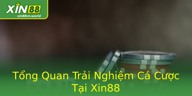 Tổng Quan Trải Nghiệm Cá Cược Tại Xin88 Tổng Quan Trải Nghiệm Cá Cược Tại Xin88
