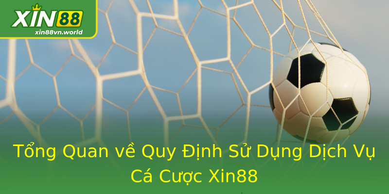 Tổng Quan về Quy Định Sử Dụng Dịch Vụ Cá Cược Xin88 Tổng Quan về Quy Định Sử Dụng Dịch Vụ Cá Cược Xin88